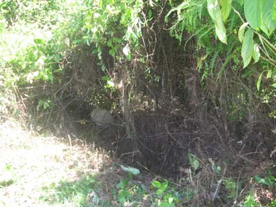 Một phụ nữ mang bầu 8 tháng bị giết thảm - 1