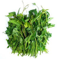 Rau muống - Thuốc thanh nhiệt, lương huyết