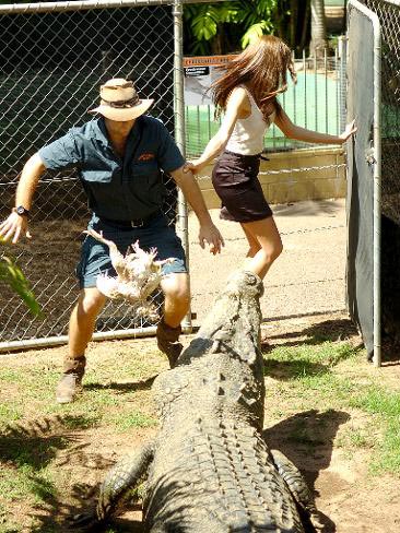 Hoa hậu Australia bị cá sấu tấn công, Thời trang, 