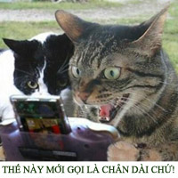 ngoại ngữ - Tin tuc Hình ảnh Video Clip MỚI NHẤT ngoai ngu - trang 8