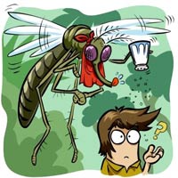 Vì to nên... thèm