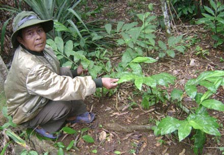 Những chuyện thần bí xung quanh viên "ngọc rắn", Tin tức  trong ngày, 