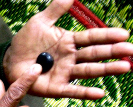 Những chuyện thần bí xung quanh viên "ngọc rắn", Tin tức  trong ngày, 