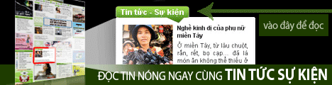 Tính mạng cụ rùa đang có vấn đề?, Tin tức trong ngày, 