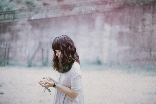 Hoa cỏ may... - 1