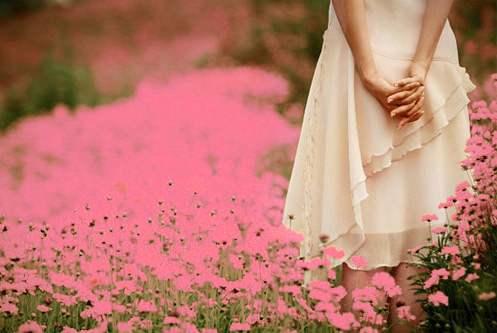 Valentine của những cô nàng độc thân, Bạn trẻ - Cuộc sống, valentine, le tinh nha, tang qua valentine, ngay le valentine, socola, bao