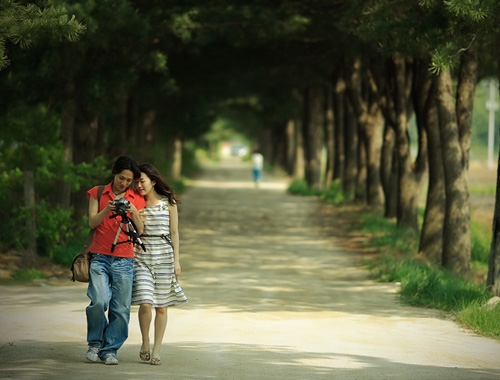 Anh thích "yêu" nhưng không muốn cưới - 1