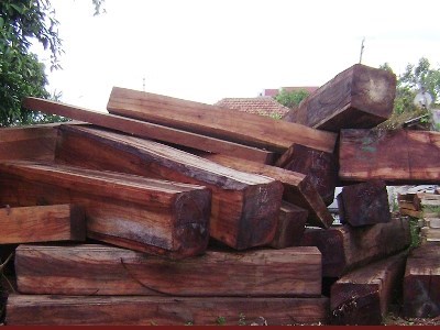Khởi tố vụ gỗ lậu nghi là của Công ty Đại Nam: Ông Dũng “lò vôi” nói gì?