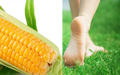 Bí quyết làm đẹp - Đôi bàn chân mịn màng nhờ bột ngô