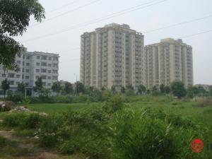 Tài chính - Bất động sản - CBRE: Chung cư giá rẻ, biệt thự đều "nóng" lên