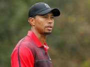 Thể thao - Golf 24/7: Tiger Woods mở màn năm 2015 tại Phoenix