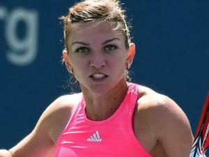 Thể thao - Halep không ngại sức ép