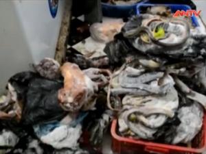 Thị trường - Tiêu dùng - Phát hiện kho ướp lạnh động vật hoang dã tại Quảng Ngãi