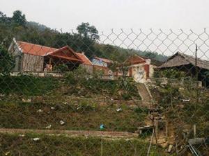 Tin tức trong ngày - Dê hộ nghèo “lạc” vào trang trại bí thư huyện