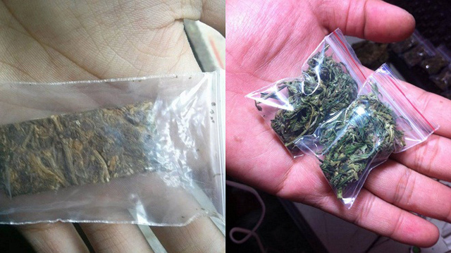 Pháp luật - “Sàn giao dịch” cần sa trên mạng: Thâm nhập sàn VNS 420