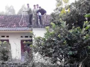 Tin tức trong ngày - Vây bắt trâu "điên”, 1 người bị húc gãy cả 2 chân