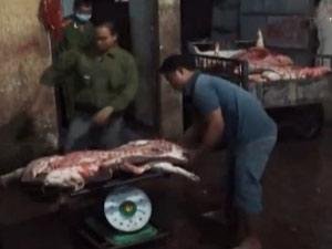 Thị trường - Tiêu dùng - Hãi hùng phát hiện lò mổ heo bệnh, heo chết