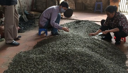 Thị trường - Tiêu dùng - Đột nhập làng bánh kẹo siêu rẻ giữa Hà Nội