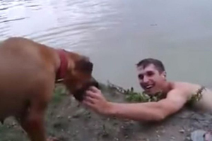 Video: Chú chó nhảy xuống hồ “cứu“ chủ