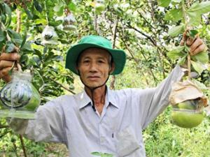 Thị trường - Tiêu dùng - Lão nông U70 đam mê tạo hình nông sản "độc" lạ