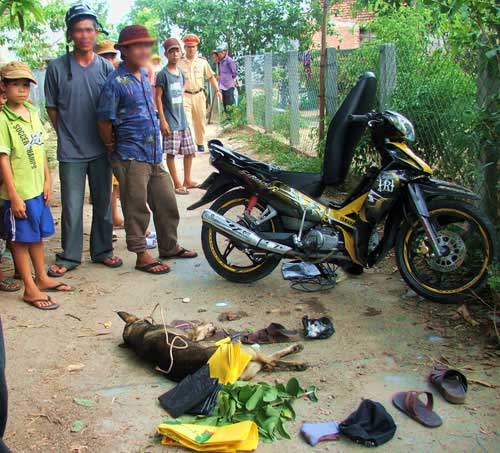 Pháp luật - Bắt đối tượng trộm 5 con chó giữa ban ngày