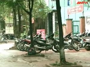 Pháp luật - Hành trình phá án: Những chiếc xe máy “có cánh”