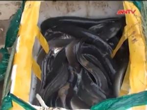 Thị trường - Tiêu dùng - Phát hiện 4 tấn thủy sản thối "bơi" về Hà Nội