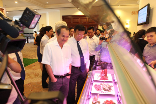 Thị trường - Tiêu dùng - Bầu Đức: Nuôi bò tơ Úc mang lại siêu lợi nhuận