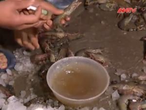 Thị trường - Tiêu dùng - Bơm tạp chất vào tôm chết bán tràn lan khắp Hà Nội