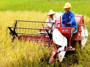 Cẩm nang tìm việc - Nông nghiệp sẽ trở thành ngành học “hot”