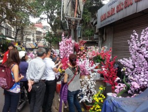 Thị trường - Tiêu dùng - Hoa “để mãi không tàn” hàng chục năm vẫn hút khách