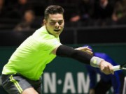 Thể thao - Raonic, Berdych quyết hạ gục người Ý (V2 Rotterdam Open)