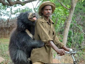 Niềm vui có "gấu" đi chơi ngày lễ Tình yêu