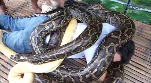 Pháp luật - Trộm trăn, đánh chủ nhà nhập viện ngày giáp Tết