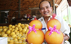 Thị trường - Tiêu dùng - Nửa triệu đồng một cặp dưa hấu hồ lô tại vườn