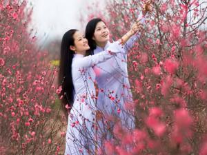 Ca nhạc - MTV - Nhạc Xuân hay nhất: Điệp Khúc Mùa Xuân