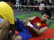 Thể thao - Pacquiao tập luyện tích cực chờ Mayweather