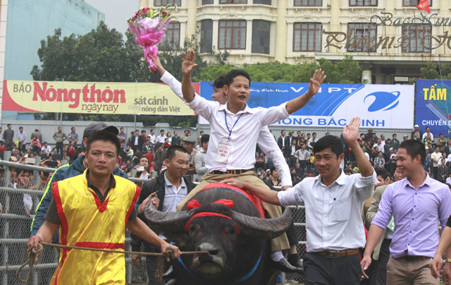 Tin tức trong ngày - Chủ trâu 24 tiết lộ bí quyết huấn luyện "ngưu vương"