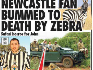 Bóng đá - Hy hữu: CĐV bị ngựa vằn "tấn công kỳ lạ" đến chết