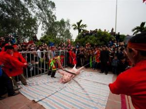 Video An ninh - Xung quanh lễ hội mang tính hiến sinh