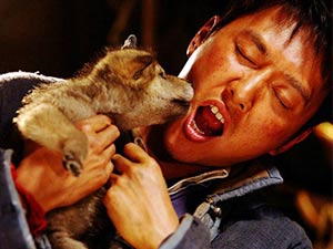 Khám phá đoàn phim "sống chung" với 35 chú sói