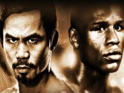 Thể thao - 200 triệu đồng 1 vé xem trận Mayweather-Pacquiao