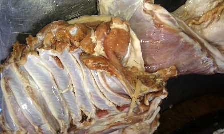 Giáo dục - du học - Cung cấp thịt, cá thiu thối cho bữa ăn học sinh