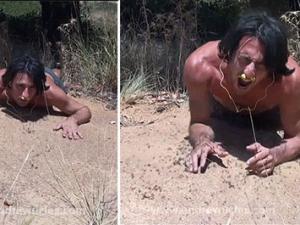 Phi thường - kỳ quặc - Clip chàng trai nằm trên tổ kiến khổng lồ "gây bão" mạng