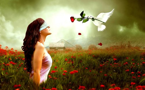 Thơ tình: Bắt đầu yêu