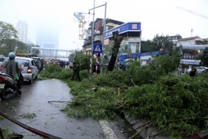 Tin tức trong ngày - HN: Chặt hàng loạt cây xanh trên đường Nguyễn Chí Thanh