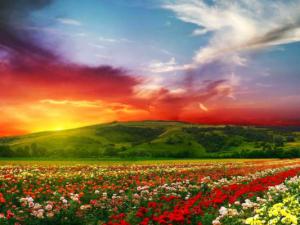 Du lịch - Mê đắm 10 "thiên đường sắc màu" rực rỡ nhất thế giới