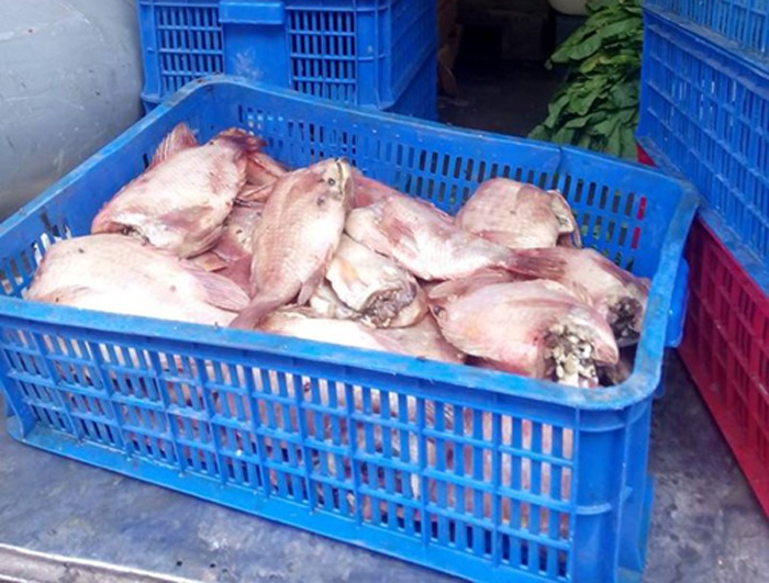 Sức khỏe đời sống - Cá thịt thối tuồn vào trường học: Nhìn đã thấy…thối