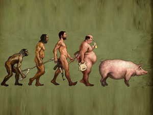 Cười 24h - So sánh đàn ông và (xin lỗi)... con heo