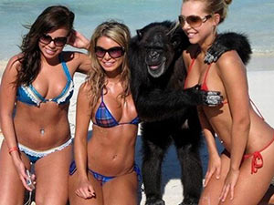 Cười 24h - Những hình ảnh "siêu hài" trên bãi biển